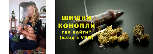 молекула духа Михайлов