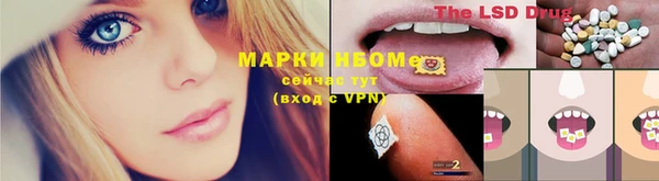 молекула духа Михайлов