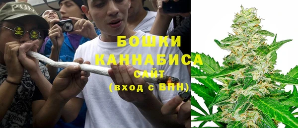 молекула духа Михайлов