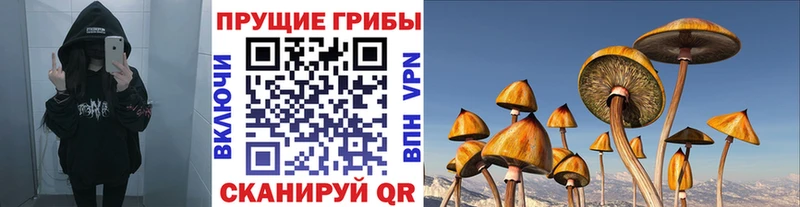 Псилоцибиновые грибы ЛСД  OMG онион  Омутнинск 